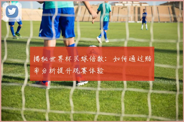 揭秘世界杯买球倍数：如何通过赔率分析提升观赛体验
