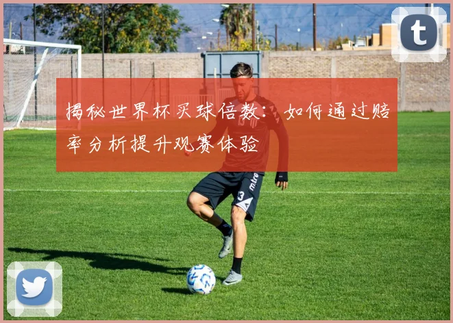 揭秘世界杯买球倍数：如何通过赔率分析提升观赛体验